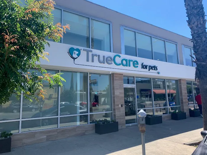 Dr. Emilie Chaplow, DVM Internal Medicine - TrueCare For Pets 6