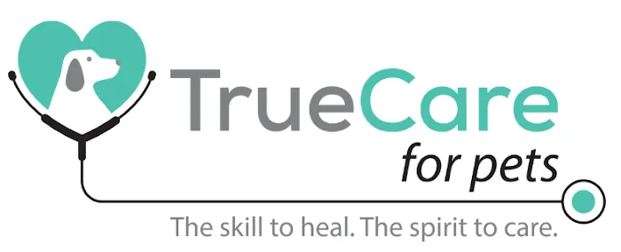 Dr. Emilie Chaplow, DVM Internal Medicine - TrueCare For Pets 5