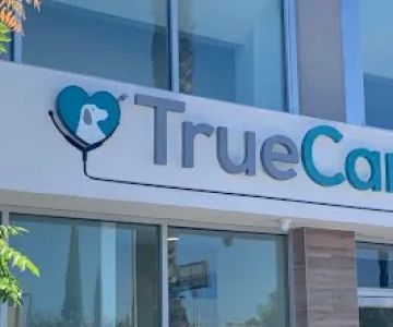 Dr. Emilie Chaplow, DVM Internal Medicine - TrueCare For Pets
