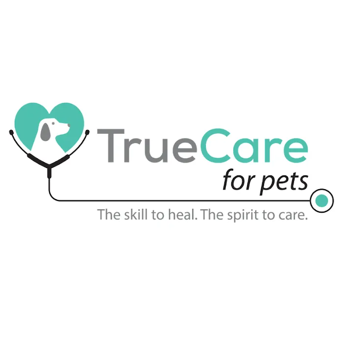 Dr. Lauren Quarterman, DVM, DACVR/Radiation Oncology - TrueCare for pets 2