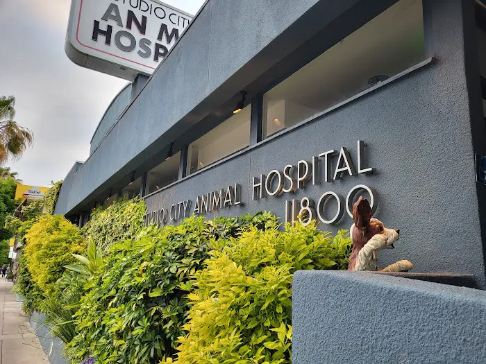 Studio City Animal Hospital 4