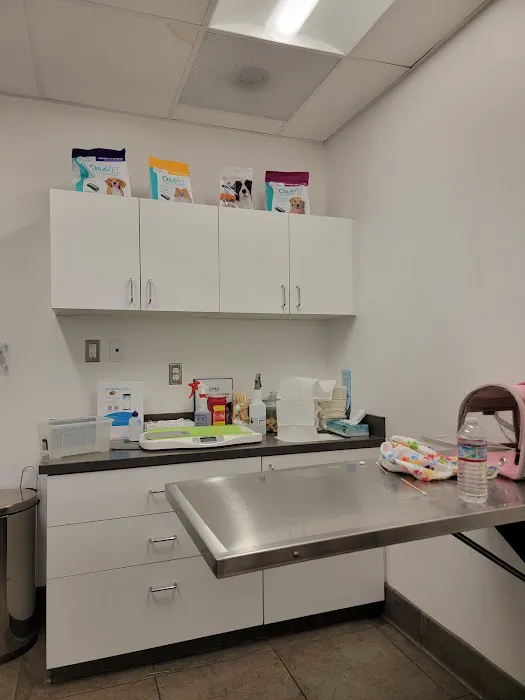 Studio City Animal Hospital 3