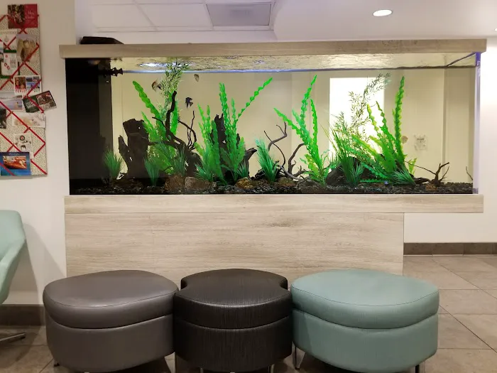 Studio City Animal Hospital 6