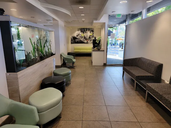 Studio City Animal Hospital 1
