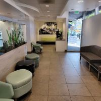 Studio City Animal Hospital ico