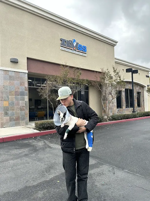 Inland Empire Veterinary Surgical Specialty 12