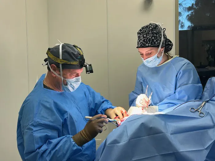 Inland Empire Veterinary Surgical Specialty 12