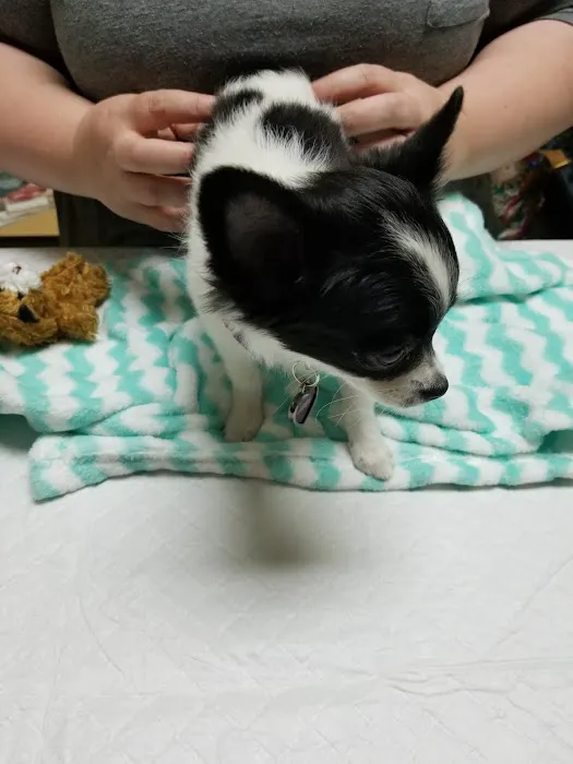 Rancho Regional Veterinary Hospital 12