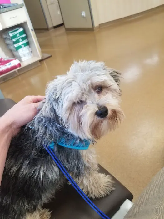 Rancho Regional Veterinary Hospital 12