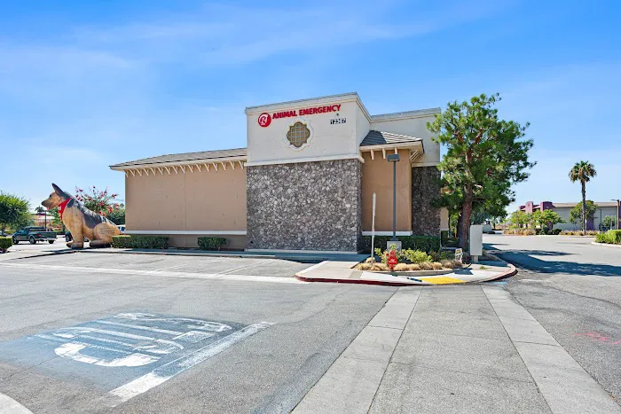 PetEmerg Emergency Animal Hospital 12