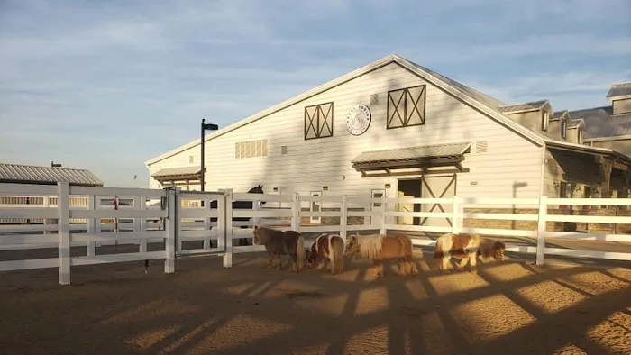 SoCal Equine Hospital 12