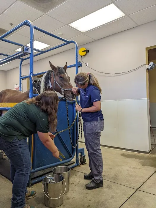 SoCal Equine Hospital 12