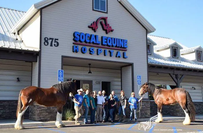 SoCal Equine Hospital 12