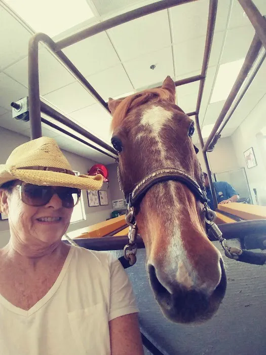 SoCal Equine Hospital 12