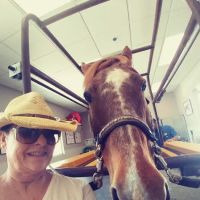 SoCal Equine Hospital ico