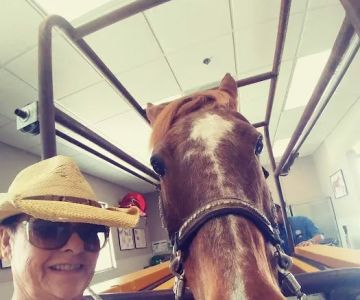 SoCal Equine Hospital