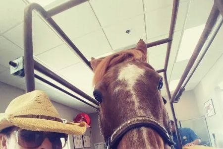SoCal Equine Hospital