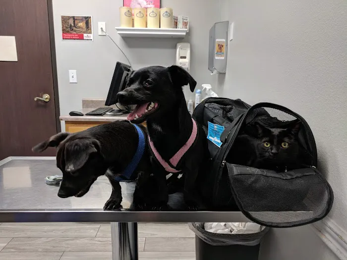 Norco Animal Hospital at SoCalVetGroup 12