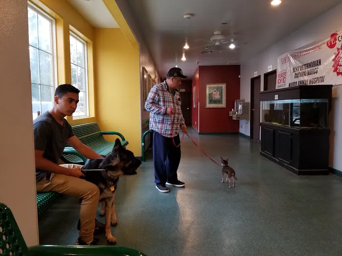 Norco Animal Hospital at SoCalVetGroup 12