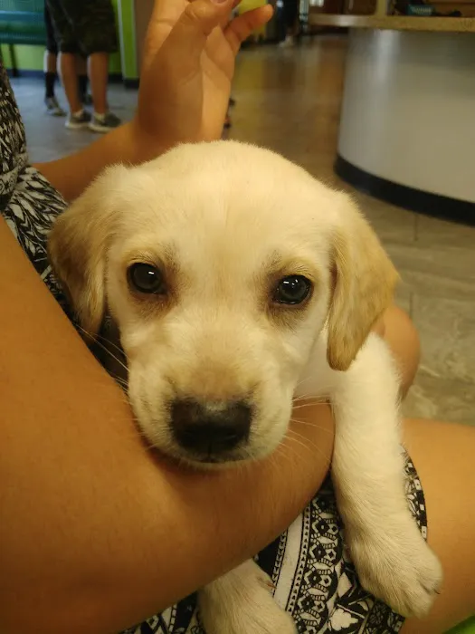Norco Animal Hospital at SoCalVetGroup 12