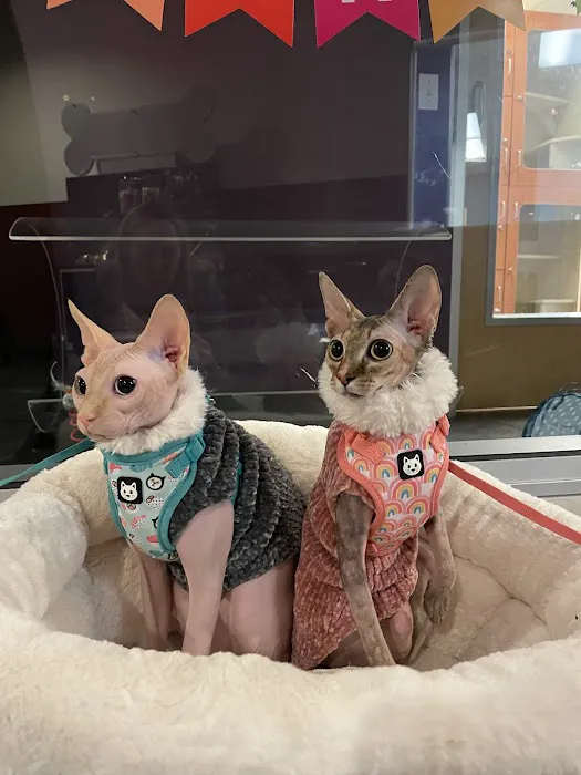 Animal Care Services 12