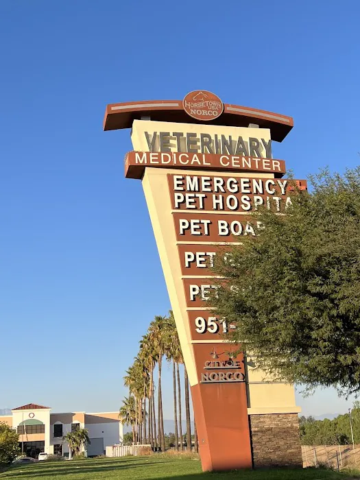Animal Care Services 12