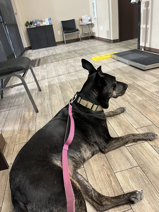 Heritage Animal Hospital, Urgent Care and Surgical Center 12