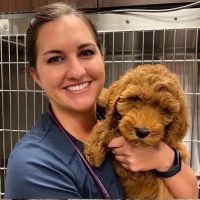 Heritage Animal Hospital, Urgent Care and Surgical Center ico