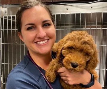 Heritage Animal Hospital, Urgent Care and Surgical Center