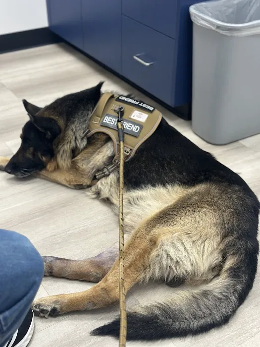 Heritage Animal Hospital, Urgent Care and Surgical Center 12