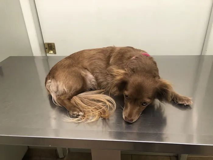Pedley Veterinary Hospital 12