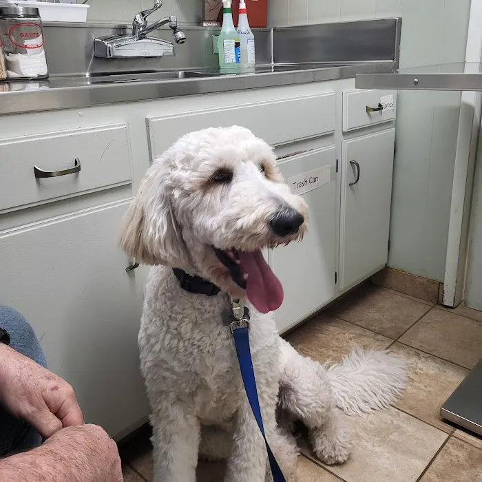 Pedley Veterinary Hospital 12