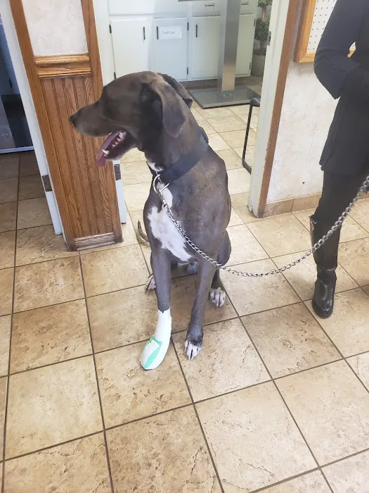 Pedley Veterinary Hospital 12