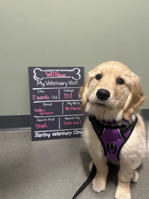 Sterling Veterinary Clinic 1