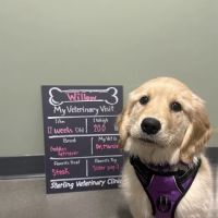 Sterling Veterinary Clinic ico