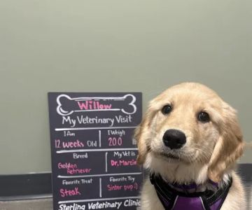 Sterling Veterinary Clinic