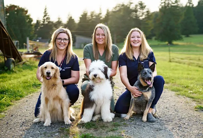 Sterling Veterinary Clinic 3