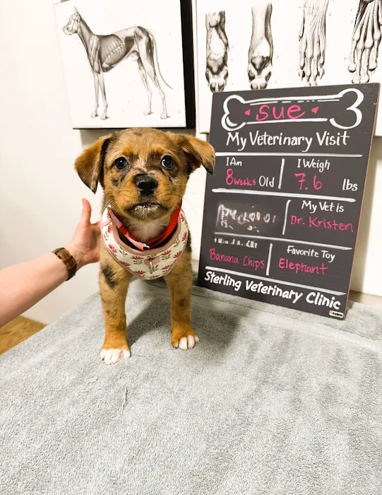 Sterling Veterinary Clinic 10