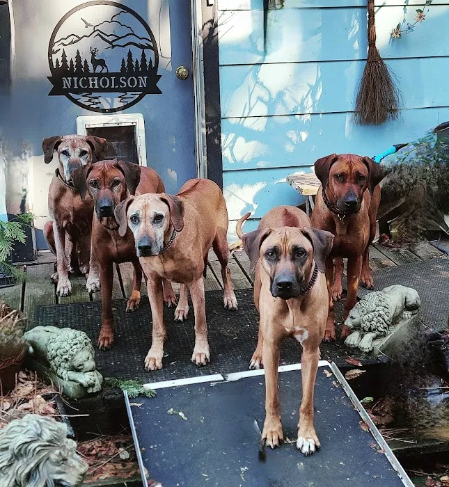 Sterling Veterinary Clinic 8