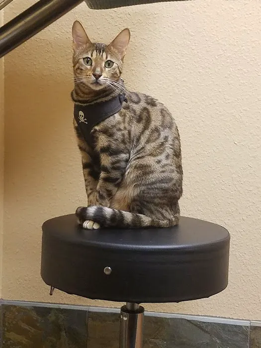 Fidalgo Animal Medical Center 7