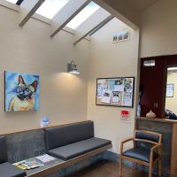 Fidalgo Animal Medical Center ico