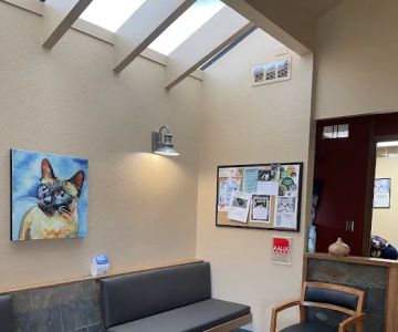 Fidalgo Animal Medical Center