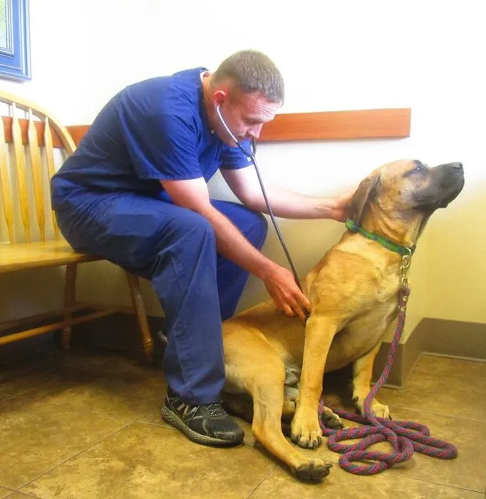 North Cascade Veterinary Hospital 7