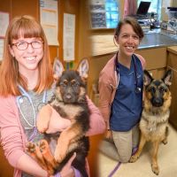 Purdy Veterinary Hospital ico