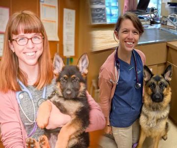 Purdy Veterinary Hospital