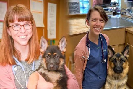 Purdy Veterinary Hospital