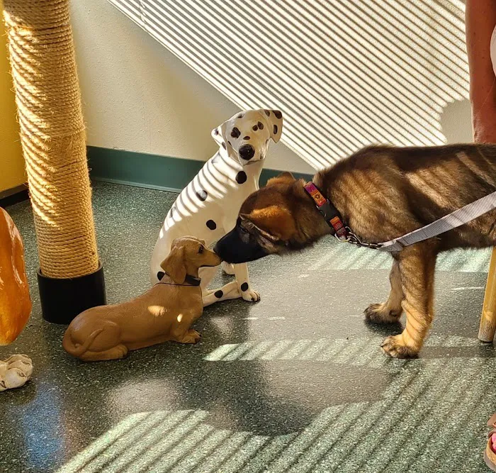 Minter Veterinary Hospital 12