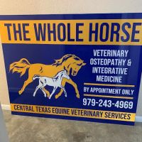 The Whole Horse Veterinary Clinic and Central Tx Equine ico