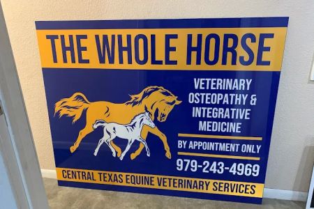 The Whole Horse Veterinary Clinic and Central Tx Equine