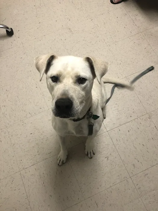 Columbus Animal Clinic 12